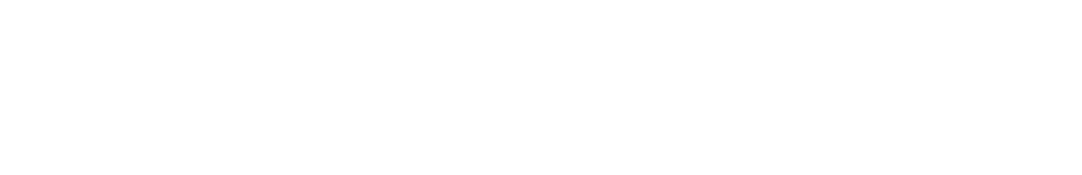 EPSONIC PRO